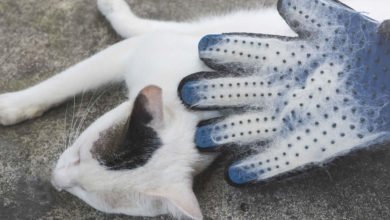 miglior guanto per togliere peli del gatto