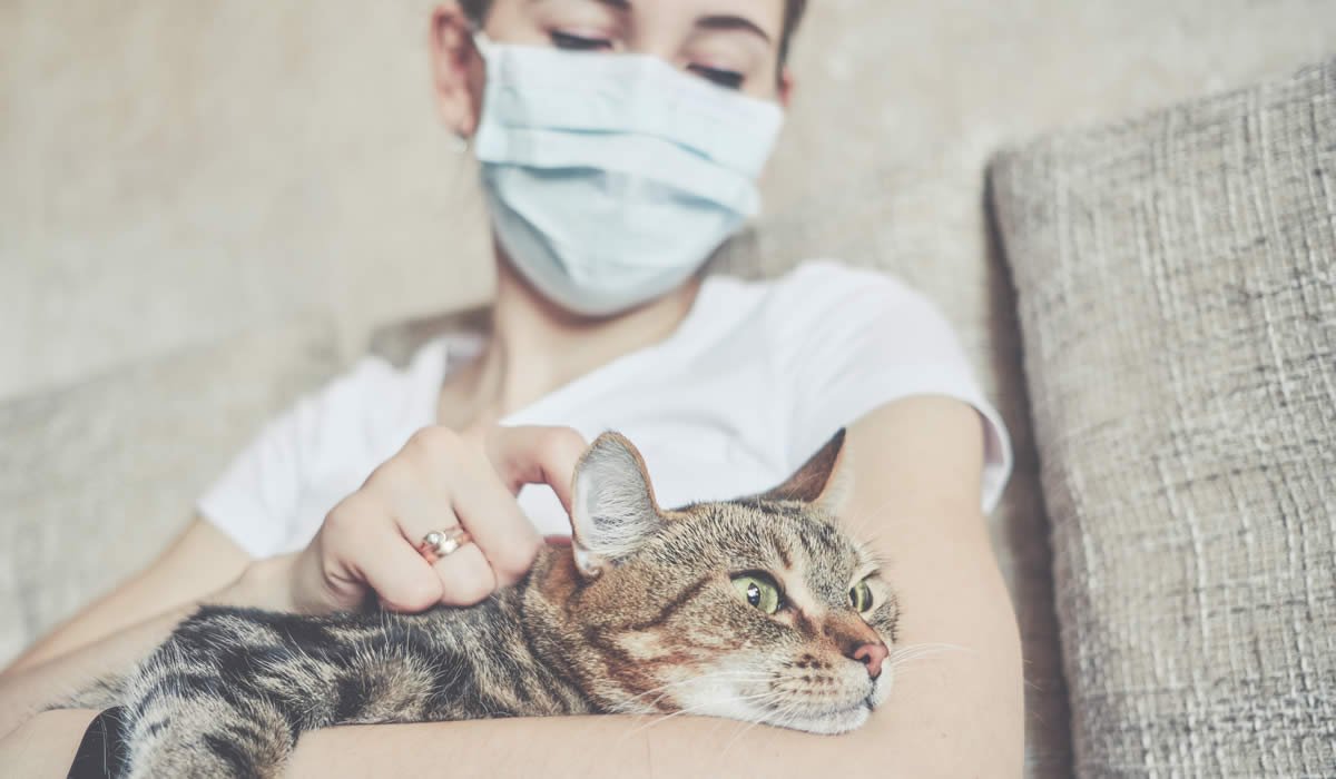 Coronavirus nel gatto: c'è da preoccuparsi? 1 Coronavirus nel gatto, non solo Covid-19