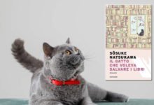Romanzo il gatto che voleva salvare i libri