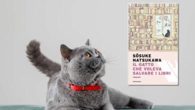 Romanzo il gatto che voleva salvare i libri