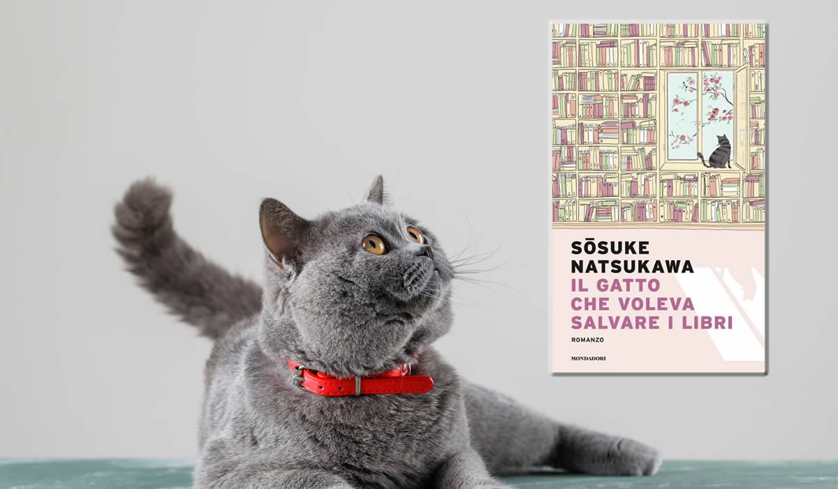 Romanzo il gatto che voleva salvare i libri