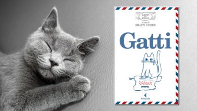 Recensione del libro l'arte delle lettere sui gatti
