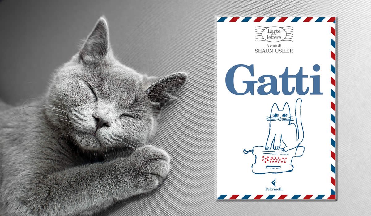 Gatti. L'arte delle lettere 1 Recensione del libro l'arte delle lettere sui gatti