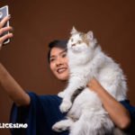 Foto di gatti Persiani 3 Non a caso viene considerato un gatto aristocratico