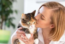 Utili consigli per il gatto che perde tanto pelo