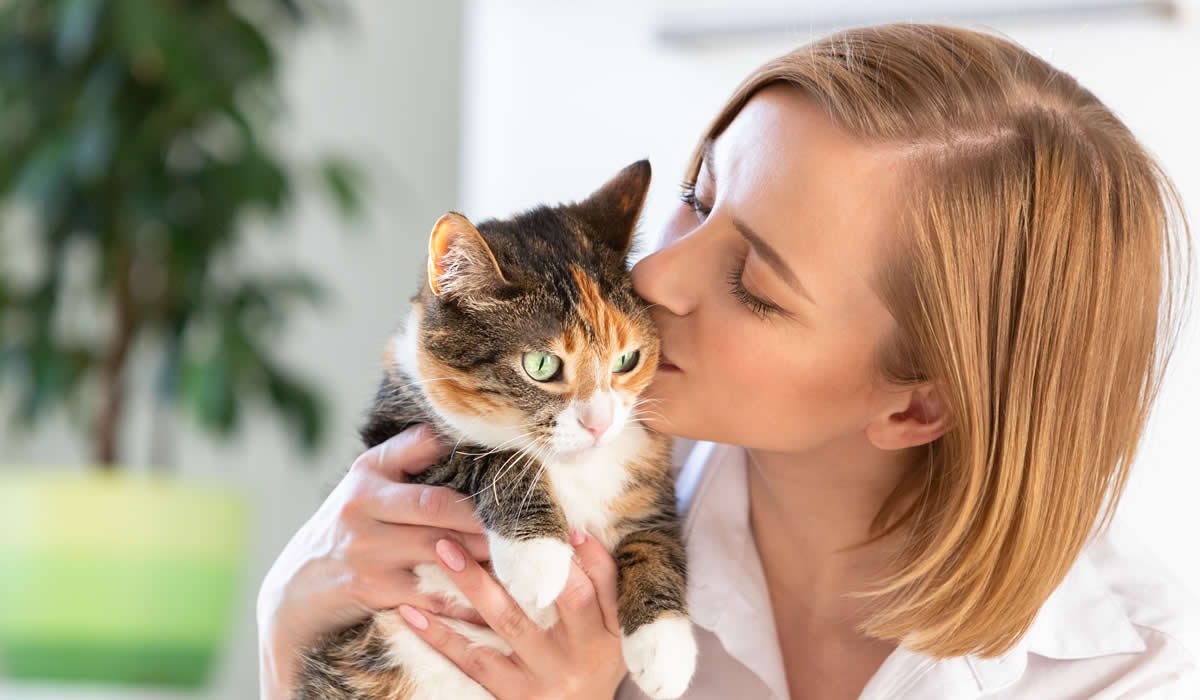 Utili consigli per il gatto che perde tanto pelo