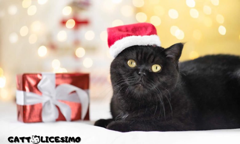 Gatto & Natale 4 gattini natalizi sfondi