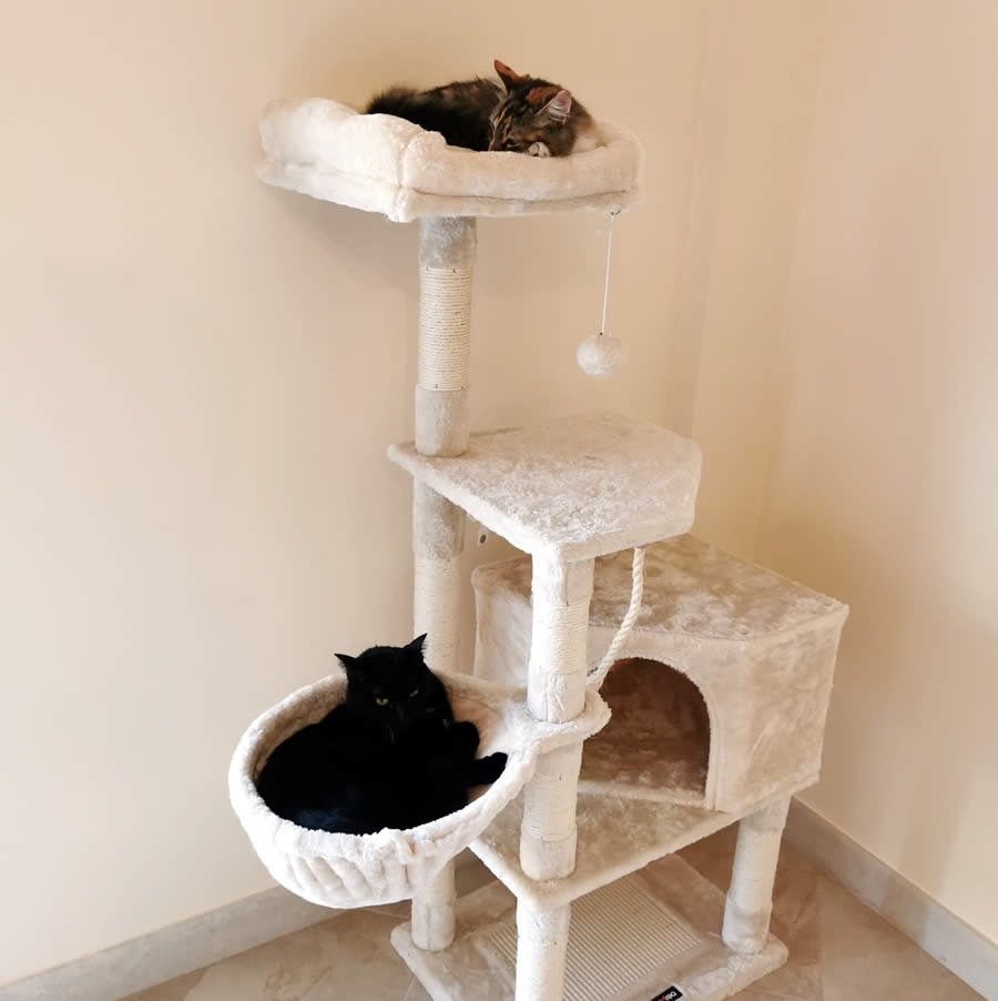 Tiragraffi ad albero Feandrea 2 le nostre gatte hanno gradito il nuovo trespolo