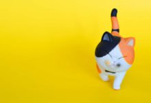 I più originali nomi per gatti dal Giappone