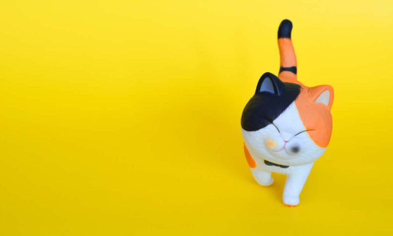 Nomi giapponesi per gatti 3 I più originali nomi per gatti dal Giappone