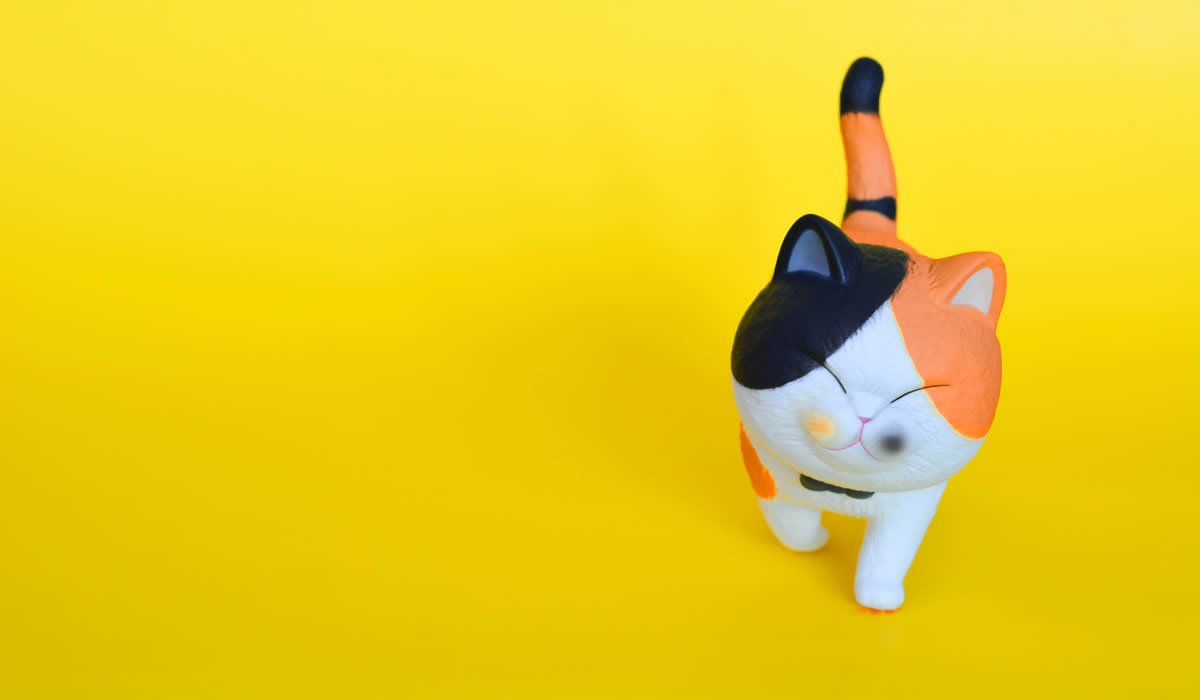 I più originali nomi per gatti dal Giappone