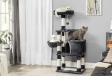 recensione del tiragraffi ad albero