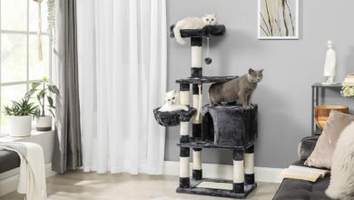 recensione del tiragraffi ad albero