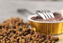 Consigli su come leggere le etichette del cibo per gatti