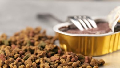 Consigli su come leggere le etichette del cibo per gatti