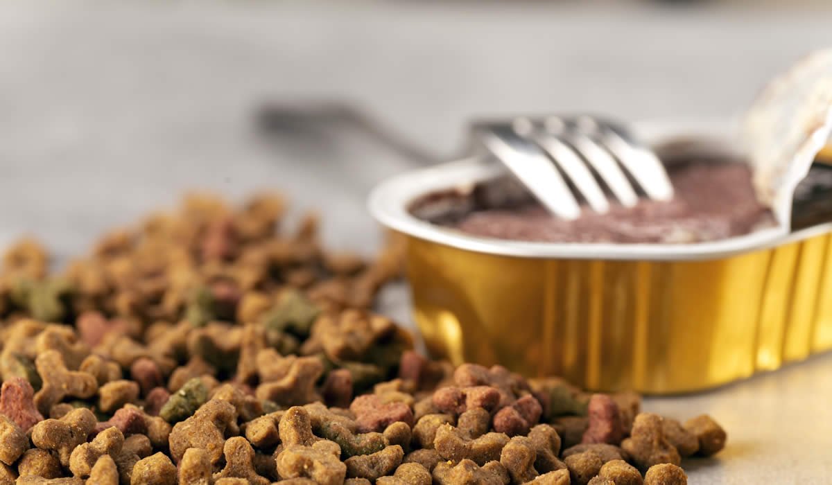 Cibo per gatti: ecco come e quale scegliere 1 Consigli su come leggere le etichette del cibo per gatti