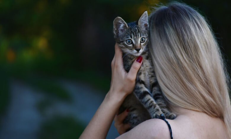 Tra mito e storia: le tante vite dei gatti