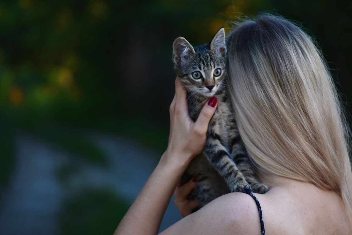 Quante vite hanno i gatti? 1 Tra mito e storia: le tante vite dei gatti