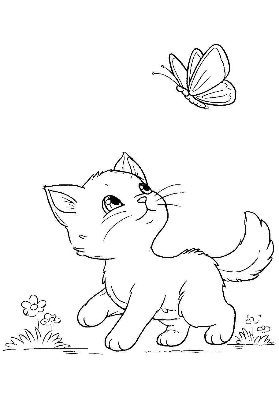 disegno da colorare di gattino incuriosito da una farfalla che volazza dietro di lui