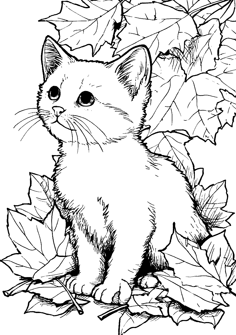 disegno da colorare di gatto in autunno