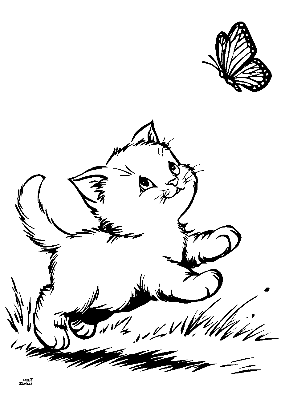disegno da colorare di gattino che gioca a casciare una farfalla